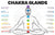 Chakras & Organs Of The Body | Chakra Glands