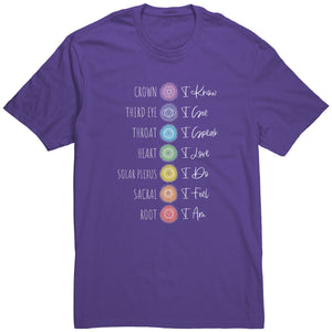 7 Chakras Affirmations TShirt TL