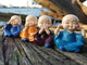 Little Baby Buddha Statues | 4pcs set - 7 Chakra Store
