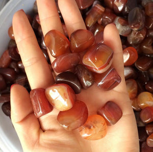 Red Agate Natural Crystal Stones (50g bag) - 7 Chakra Store